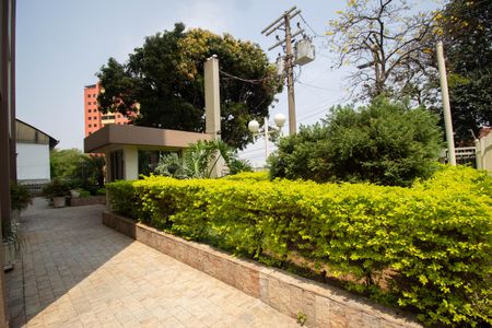 Apartamento para alugar com 74m², 3 quartos e 1 vagaÁrea comum