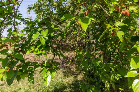 Apartamento à venda com 82m², 2 quartos e 2 vagasÁrea comum