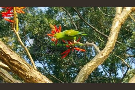 Casa à venda com 430m², 4 quartos e 6 vagas