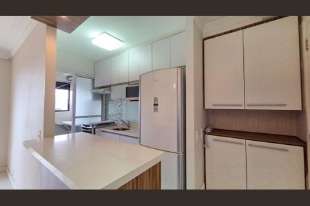 Cozinha de apartamento para alugar com 2 quartos, 50m² em Vila Constancia, São Paulo
