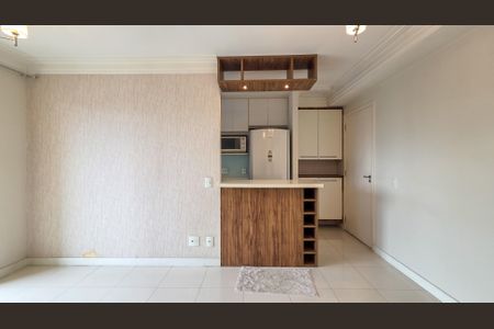 Sala de apartamento para alugar com 2 quartos, 50m² em Vila Constancia, São Paulo