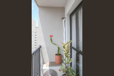 Apartamento para alugar com 40m², 2 quartos e sem vagaSacada