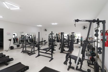 Apartamento para alugar com 50m², 2 quartos e 1 vaga Apartamento para alugar com 50m², 2 quartos e 1 vagaAcademia