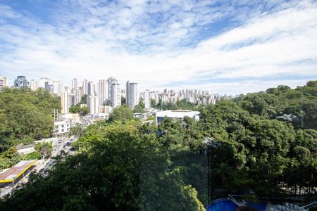 Vista Varanda de apartamento à venda com 3 quartos, 119m² em Parque do Morumbi, São Paulo