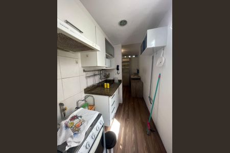 Cozinha de apartamento para alugar com 1 quarto, 35m² em Campos Elíseos, São Paulo