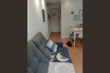 Apartamento à venda com 3 quartos, 55m² em Parque Maria Domitila, São Paulo