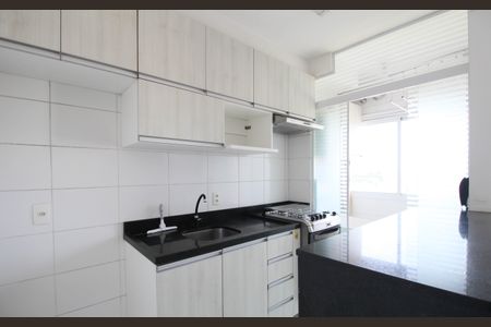 Apartamento para alugar com 46m², 2 quartos e 1 vagaCozinha - Armários