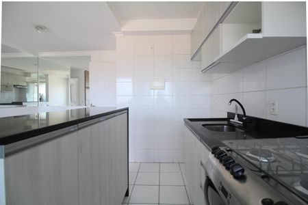 Apartamento para alugar com 46m², 2 quartos e 1 vagaCozinha - Armários