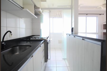 Apartamento para alugar com 46m², 2 quartos e 1 vagaCozinha - Armários