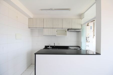 Apartamento para alugar com 46m², 2 quartos e 1 vagaCozinha - Armários
