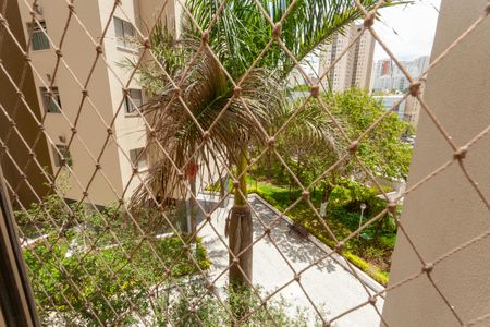 Apartamento à venda com 71m², 3 quartos e 1 vagaVista do Quarto 3