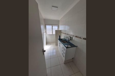 Cozinha de apartamento para alugar com 1 quarto, 37m² em Botafogo, Campinas