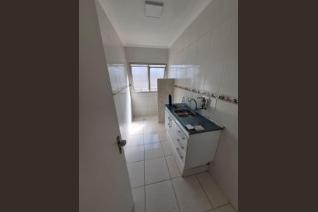 Cozinha de apartamento para alugar com 1 quarto, 37m² em Botafogo, Campinas