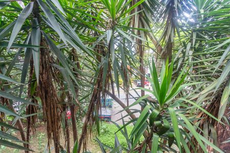 Vista da varanda  de casa para alugar com 1 quarto, 80m² em Cidade Ademar, Diadema