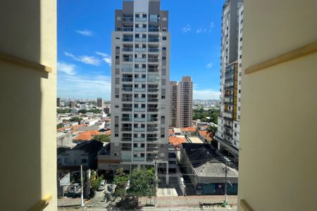 Apartamento para alugar com 75m², 3 quartos e 1 vagaVista da Sacada