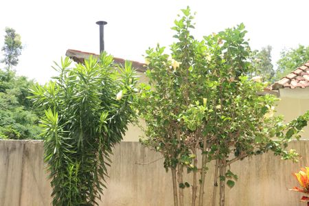 Apartamento para alugar com 63m², 2 quartos e 1 vagaÁrea comum