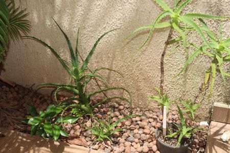 Apartamento para alugar com 63m², 2 quartos e 1 vagaÁrea comum