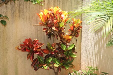 Apartamento para alugar com 63m², 2 quartos e 1 vagaÁrea comum