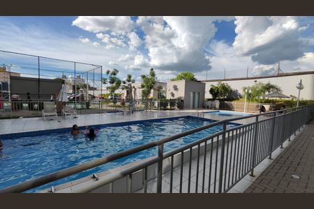 Apartamento para alugar com 48m², 2 quartos e 1 vaga Apartamento para alugar com 48m², 2 quartos e 1 vagaPiscina