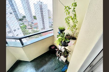 Apartamento para alugar com 76m², 3 quartos e 1 vagaVaranda da Sala