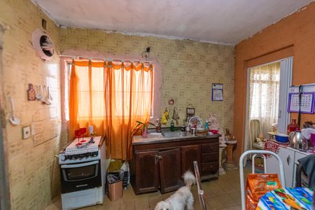 Cozinha de casa para alugar com 1 quarto, 40m² em Parque Boturussu, São Paulo