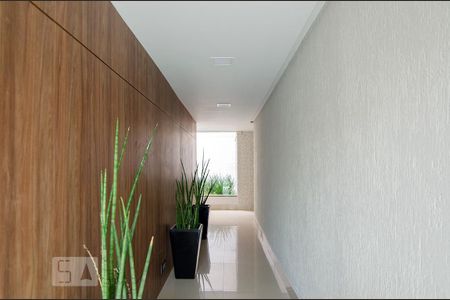 Apartamento para alugar com 2 quartos, 39m² em Sagrada Família, Belo Horizonte