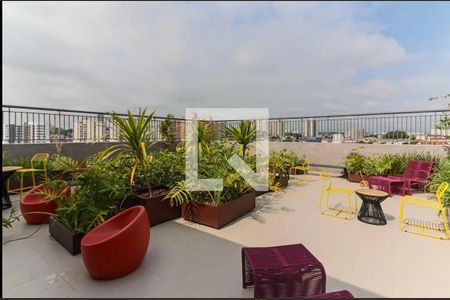 Studio para alugar com 24m², 1 quarto e sem vagaTerraço