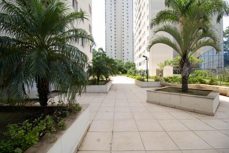 Apartamento para alugar com 75m², 3 quartos e 1 vaga Apartamento para alugar com 75m², 3 quartos e 1 vagaÁrea comum - Playground