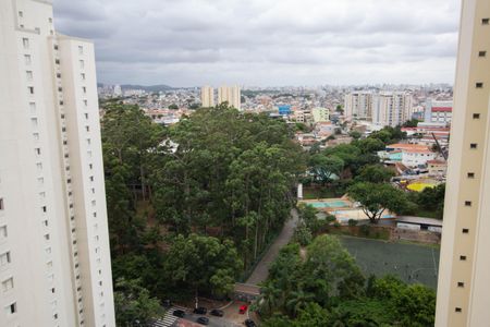 Vista da Varanda de apartamento para alugar com 3 quartos, 75m² em Vila Amélia, São Paulo