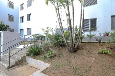 Apartamento para alugar com 49m², 2 quartos e 1 vaga Apartamento para alugar com 49m², 2 quartos e 1 vagaVista - Quarto 1