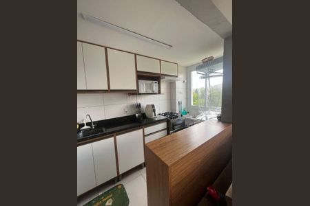 Cozinha de apartamento para alugar com 2 quartos, 48m² em Santa Isabel, Viamão