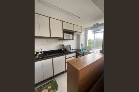 Cozinha de apartamento para alugar com 2 quartos, 48m² em Santa Isabel, Viamão