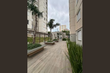 Apartamento para alugar com 2 quartos, 43m² em Parque Amazonia, Goiânia