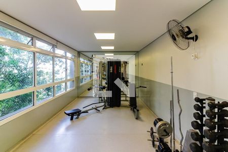 Apartamento à venda com 88m², 3 quartos e 2 vagasAcademia