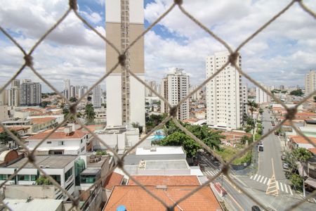 Apartamento para alugar com 147m², 3 quartos e 3 vagasVistas