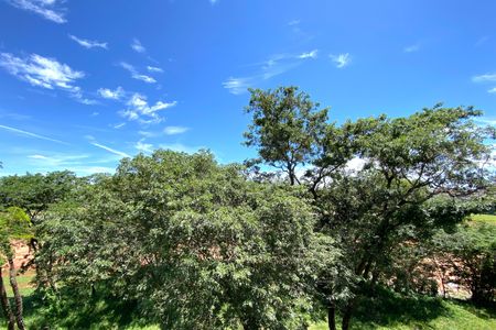 Vista da Suite 1 de apartamento à venda com 4 quartos, 240m² em Dona Clara, Belo Horizonte