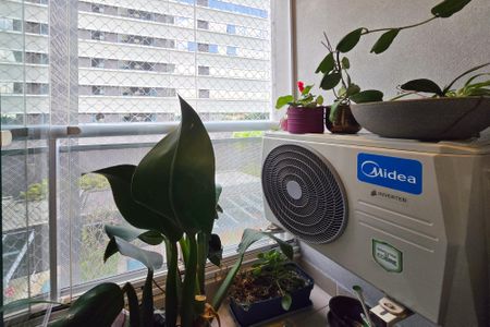 Apartamento à venda com 62m², 2 quartos e 1 vaga Apartamento à venda com 62m², 2 quartos e 1 vagaSacada - Suíte