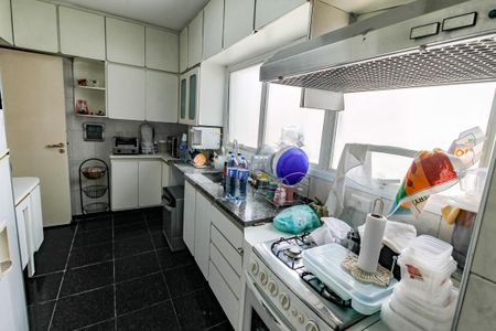 Apartamento à venda com 285m², 3 quartos e 4 vagasCozinha - Armários