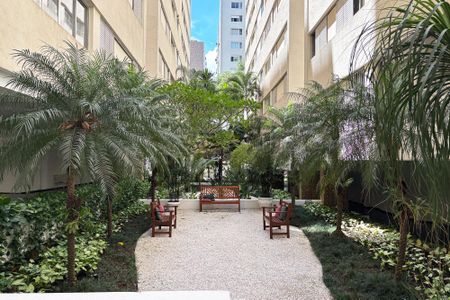 Apartamento para alugar com 70m², 1 quarto e 1 vaga Apartamento para alugar com 70m², 1 quarto e 1 vagaarea verde comum