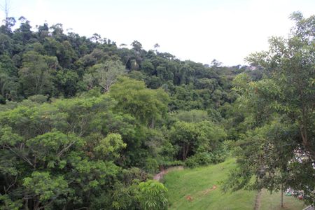Vista do Quarto 1 de apartamento para alugar com 2 quartos, 39m² em Bairro Jardim Nossa Senhora das Graças, Cotia