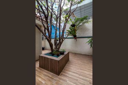 Casa à venda com 255m², 3 quartos e 2 vagas Casa à venda com 255m², 3 quartos e 2 vagasQuintal
