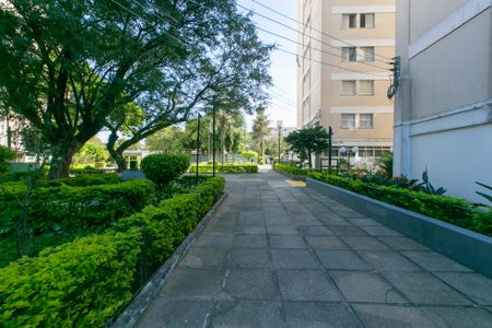 Apartamento para alugar com 60m², 2 quartos e 1 vaga Apartamento para alugar com 60m², 2 quartos e 1 vagaÁrea comum