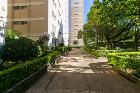 Apartamento para alugar com 60m², 2 quartos e 1 vaga Apartamento para alugar com 60m², 2 quartos e 1 vagaÁrea comum