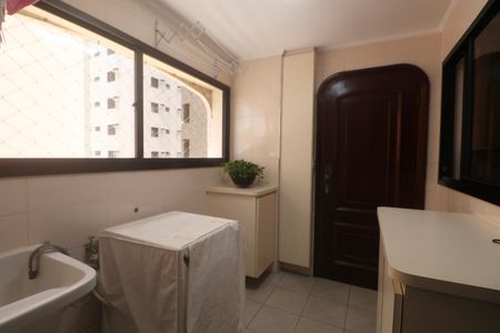 Apartamento para alugar com 183m², 4 quartos e 2 vagasÁrea de Serviço