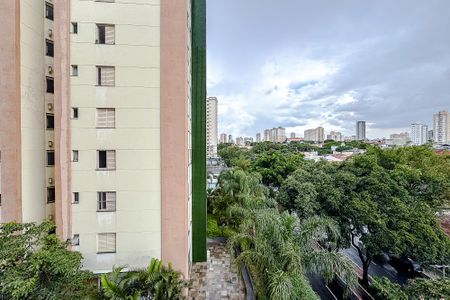 Apartamento para alugar com 65m², 2 quartos e 1 vagaVista do Quarto 1