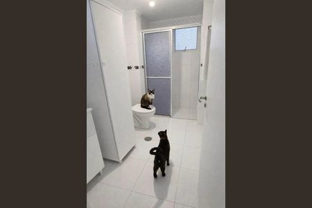 Foto 07 de apartamento à venda com 2 quartos, 70m² em Pinheiros, São Paulo