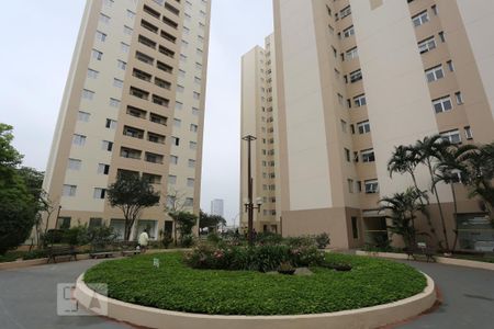 Apartamento para alugar com 70m², 3 quartos e 1 vaga Apartamento para alugar com 70m², 3 quartos e 1 vagaÁrea comum
