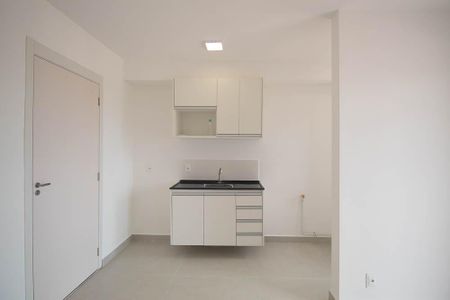 Apartamento para alugar com 39m², 2 quartos e sem vagaCozinha - Armários