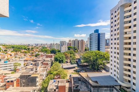 Apartamento para alugar com 2 quartos, 40m² em Planalto Paulista, São Paulo