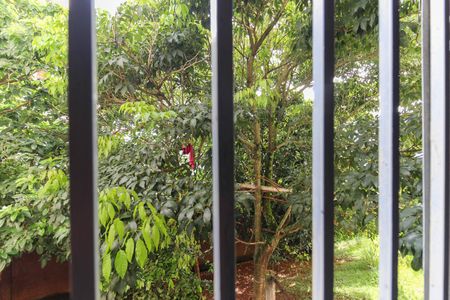 Apartamento para alugar com 55m², 2 quartos e 1 vagaVista do Quarto 2